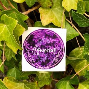 Aquarius Sticker